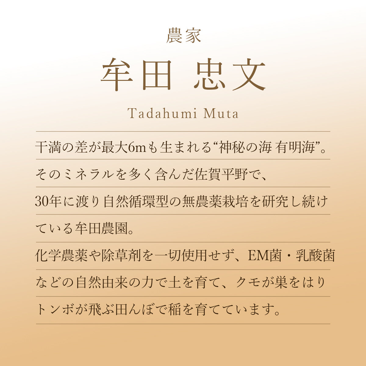【令和7年産】無農薬栽培佐賀県産にじのきらめき(牟田農園)
