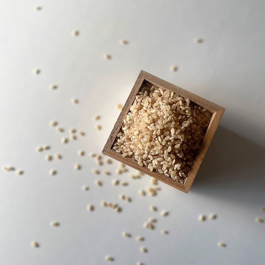 【令和7年産】佐賀県産にこまる