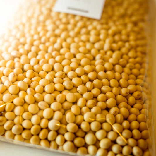 【令和5年産】佐賀県産大豆 フクユタカ