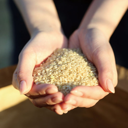 【令和7年産】佐賀県産富士町こしひかり