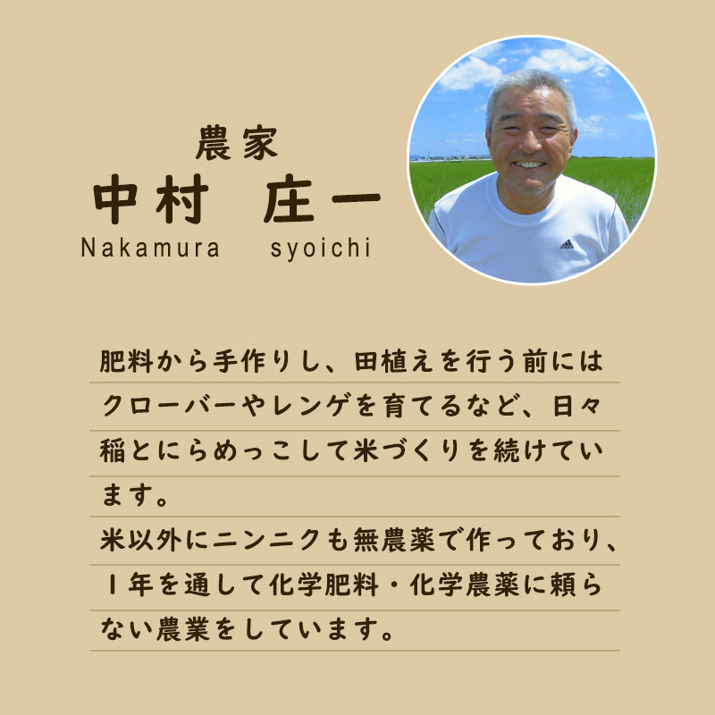 【令和7年産】無農薬栽培福岡県産元気つくし(中村さん)