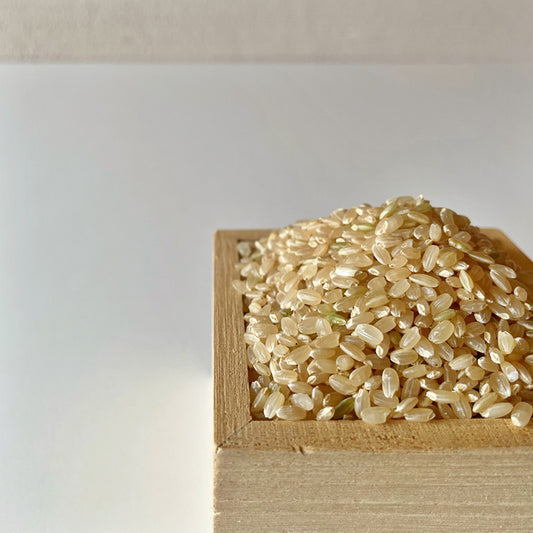 【令和7年産】無農薬栽培福岡県産元気つくし(中村さん)