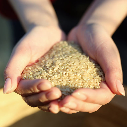 【令和7年産】佐賀県産さがびより