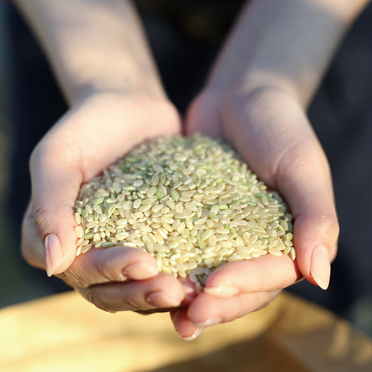 【令和7年産】無農薬栽培佐賀県産さがびより(牟田農園)