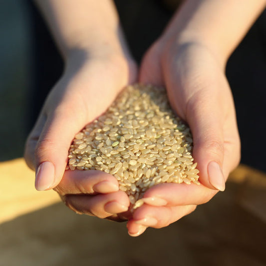 【令和7年産】佐賀県産夢しずく