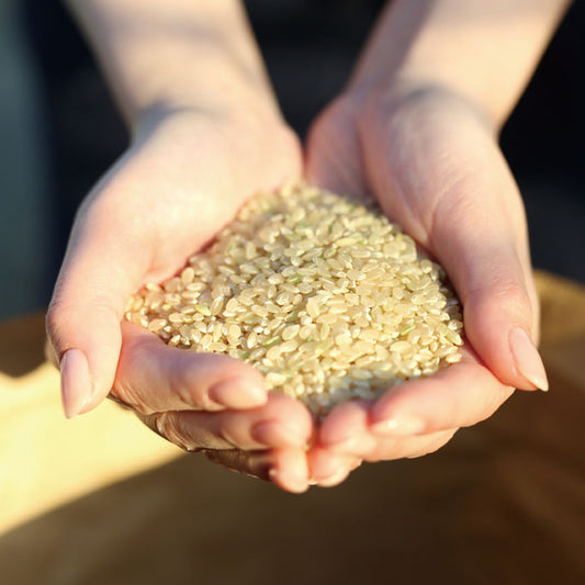 【令和7年産】佐賀県特別栽培米 七夕こしひかり