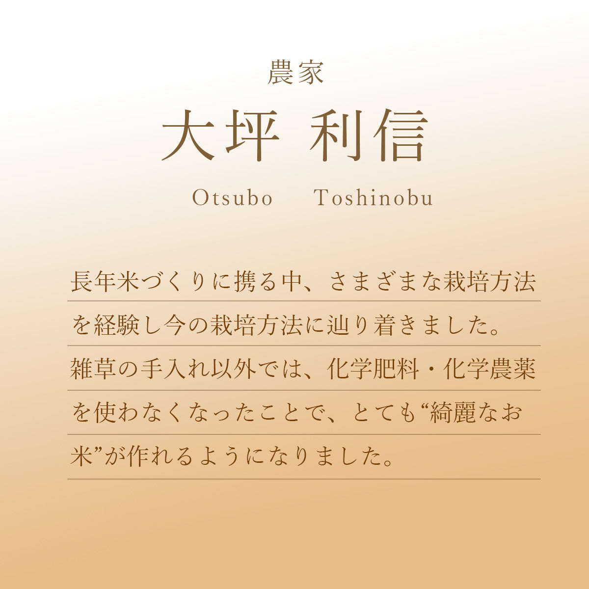 【令和6年産】減農薬栽培佐賀県産夢しずく（大地ファーム・大坪さん）