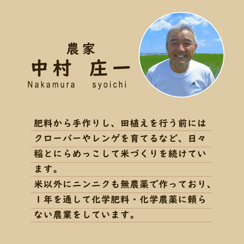 令和5年産】無農薬栽培福岡県産元気つくし（中村さん）｜【栗林米穀