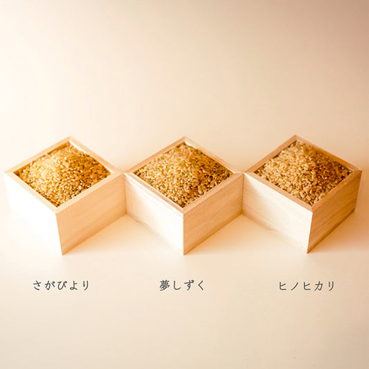 佐賀県産玄米セット(15kg)